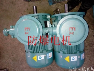 防爆電機(jī)分類：防爆電機(jī)選型、參數(shù)、定義