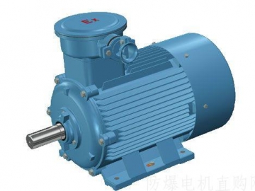 YB系列防爆電機(jī)抱軸原因分析以及預(yù)防措施