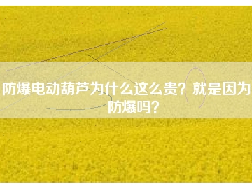防爆電動葫蘆為什么這么貴？就是因為能防爆嗎？