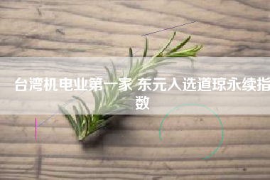臺(tái)灣機(jī)電業(yè)第一家 東元入選道瓊永續(xù)指數(shù)
