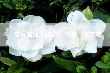 東元首座太陽能廠 今年併聯(lián)發(fā)電