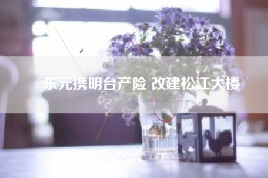 東元攜明臺(tái)產(chǎn)險(xiǎn) 改建松江大樓