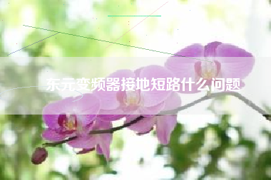 東元變頻器接地短路什么問題