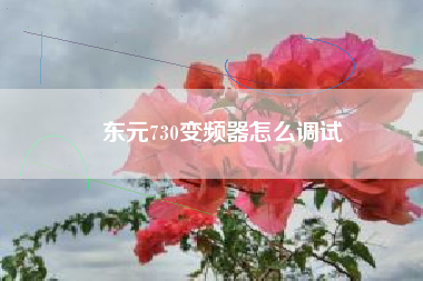 東元730變頻器怎么調(diào)試