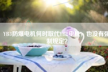 YB3防爆電機(jī)何時(shí)取代YB2電機(jī)，也沒(méi)有強(qiáng)制規(guī)定？