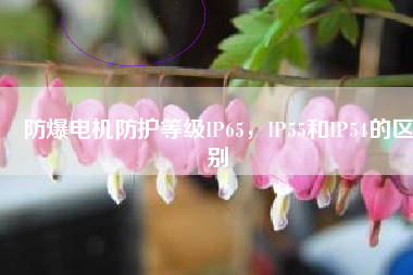 防爆電機防護等級IP65，IP55和IP54的區(qū)別