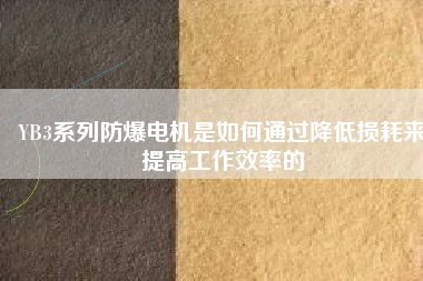 YB3系列防爆電機(jī)是如何通過降低損耗來提高工作效率的