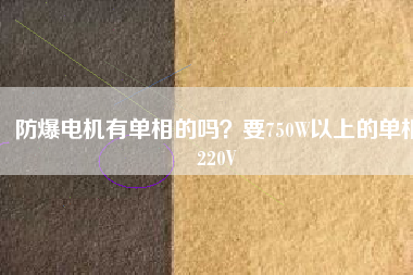 防爆電機(jī)有單相的嗎？要750W以上的單相220V