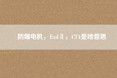 防爆電機(jī)，ExdⅡ，CT4是啥意思